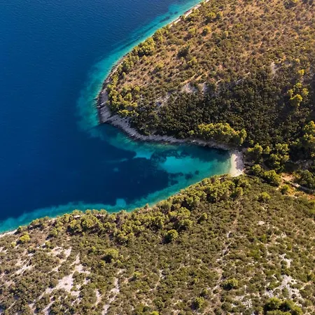Authentic Dalmatian Stone House-kameni Dvori Holiday home